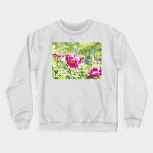 Busy Bee and Flower Crewneck Sweatshirt